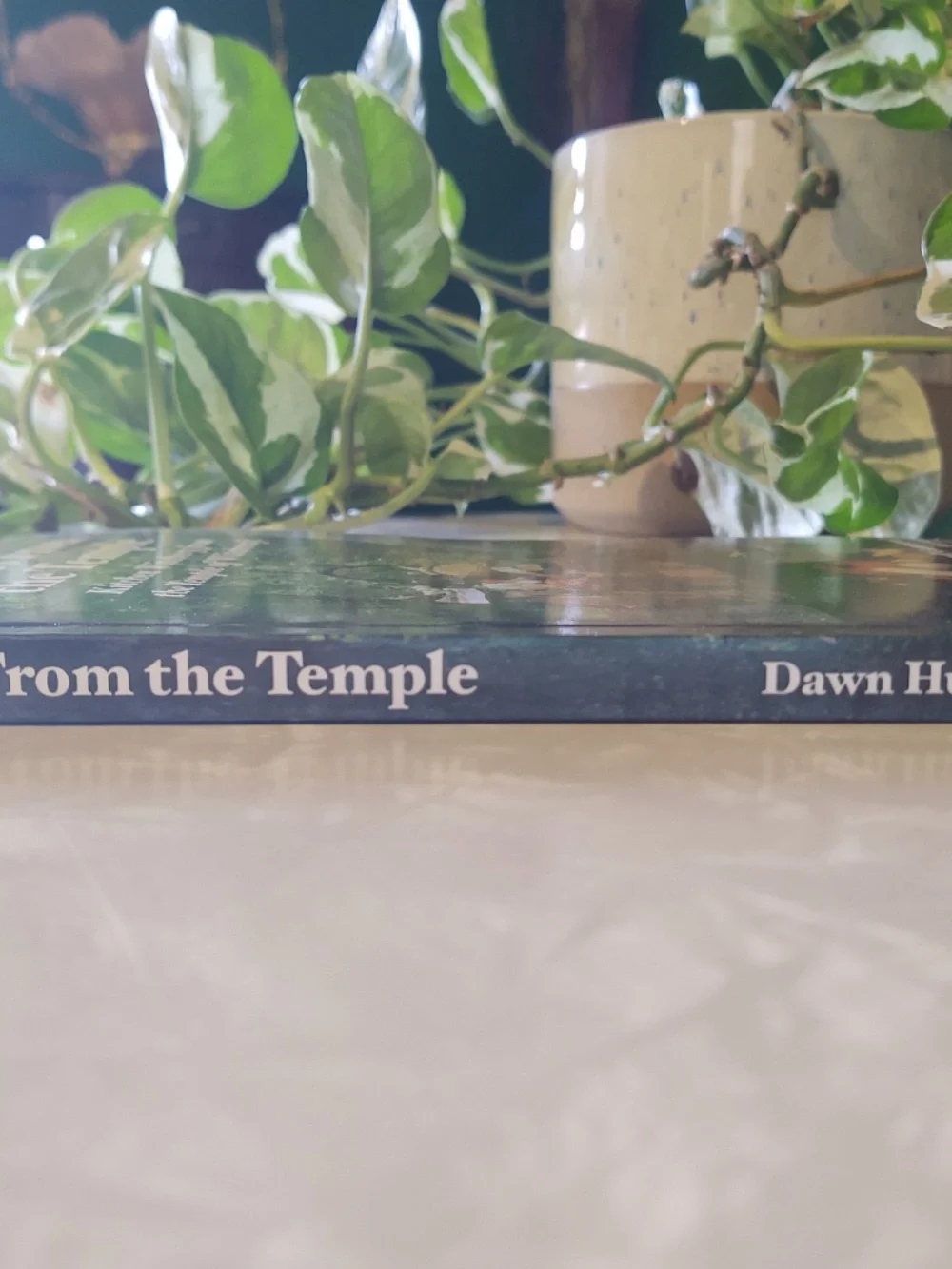 Tastes From the Temple by Dawn Hunt - new book of Kitchen Witchery - Picture 3 of 5